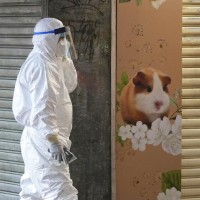 香港銅鑼灣寵物店傳倉鼠染疫 2,000隻全數撲殺