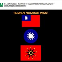 Anonymous posts 'Taiwan Numbah Wan!' on UN agency website