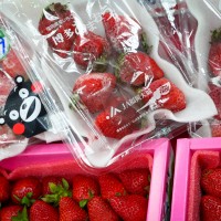 Taiwan Consumers’ Foundation finds excess pesticides on Japanese and local strawberries