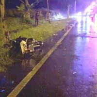 Motorcyclist dies after hitting cow in eastern Taiwan