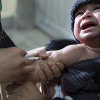 預料6/21開打！美國FDA審查員：輝瑞5歲以下幼童COVID疫苗安全且有效