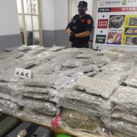 Taiwan police make largest marijuana bust in Taoyuan Airport history