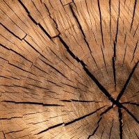 Taiwan needs more wood buildings to achieve net-zero target