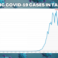 CECC says daily COVID cases in 'obvious decline' after May peak