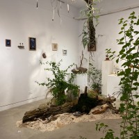 Nature inspires an exhibition in Taipei despite COVID