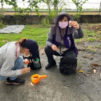 台灣增3例日本腦炎　嘉義縣個案引發腦膜炎住加護病房