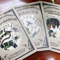 台灣森林生物多樣性之美　《魔法森林─動物生命的秘密》教案全套出版