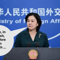 Chinese assistant foreign minister scores spectacular own goal over Taiwanese food meme