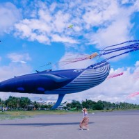 Giant whale kites fly in skies of south Taiwan