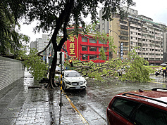 20-meter-tall tree crushes 2 cars and traffic light during Taipei storm
