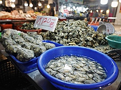 South Taiwan farmers concerned over oyster supply ahead of Mid-Autumn Festival
