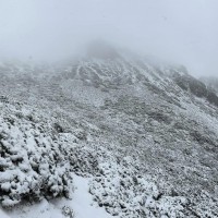 Hikers report 30 cm of snow on Taiwan's Xueshan