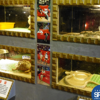 Taiwan SPCA finds Neiwan 'mystery museum' keeping animals in cruel conditions