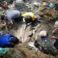 專訪〉恆春古生物化石極具教育與科學價值！屏東縣政府將向中央爭取經費　設置自然史博物館