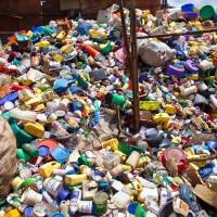 塑膠廢棄物有解！這細菌愛吃塑膠 還能將垃圾轉變成聚合物