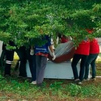 Taiwanese man found dead in Cambodia with 3 gunshot wounds to head
