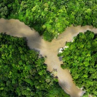 亞馬遜雨林的懇求 巴西擬於COP28氣候峰會推全球雨林投資基金