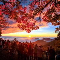 Capturing Alishan's essence: Winners unveiled in Taiwan photography contest