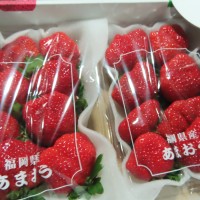 日本草莓共19批農藥殘留違規 食藥署：逐批查驗至明年4月底