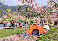 Environmental regulations cause headaches for Taiwan campsite operators