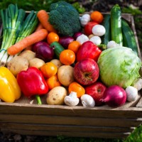 蔬食愛地球正夯！營養師推薦「彩虹飲食法」 外食、自煮族食譜曝光