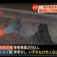 日本再傳飛安事故！北海道新千歲機場「兩機擦撞」 機上共289人