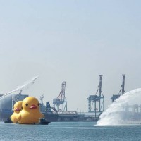 Giant rubber ducks return to Taiwan's waters