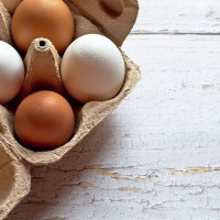 禽流感重創美國「雞蛋之都」百萬隻蛋雞遭撲殺 蛋價漲、又鬧缺蛋荒