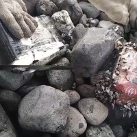 Photo of the Day: Beach cleanup in Penghu uncovers 1.1 kg of cocaine