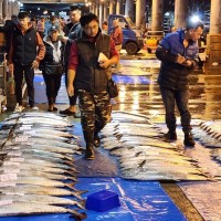 Spanish mackerel prices plummet at Taiwan's Penghu fish market