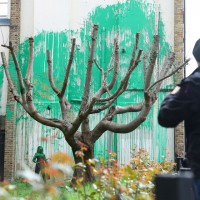 【枯木逢春】神秘藝術家班克西再出手 倫敦綠漆壁畫為枯樹添妝